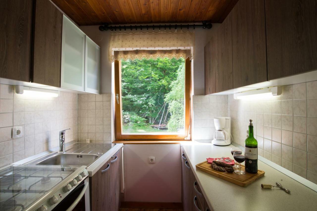 Chalet Via Mons Mojstrana Buitenkant foto